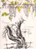 285 MODELLI DIPINGERE FIORI E ALBERI