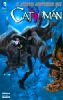 BATMAN UNIVERSE    2 CATWOMAN REBOOT VARIANT    1 THE NEW 52