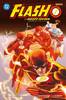 DC OMNIBUS FLASH DI GEOFF JOHNS VOL.    3
