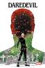 MARVEL COLLECTION DAREDEVIL: UN GIORNO FREDDO ALL'INFERNO