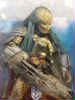 ALIEN VS PREDATOR    0 ELDER PREDATOR    0